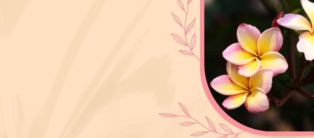 CO2 экстракт Франжипани (цветы) жирорастворимый